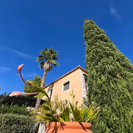 Casa Capelletes - Mediterranean Mountain Villa Bolulla